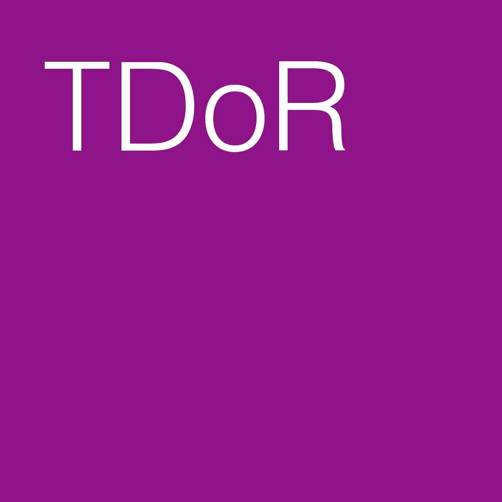 TDOR 2021 en PACA: Marseille, Nice... tdor